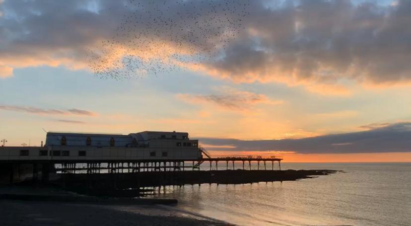 Sea View Apartment - Sleeps 2 Aberystwyth Exterior foto